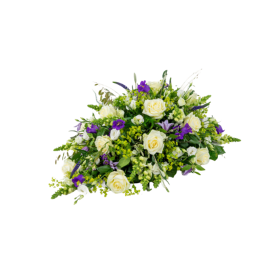 Rouwdruppel Wit / Paars