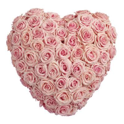 Rouwhart zacht roze Rozen